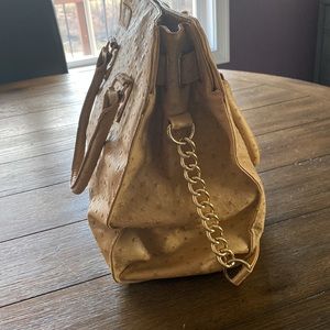 Ostrich, used but great shape